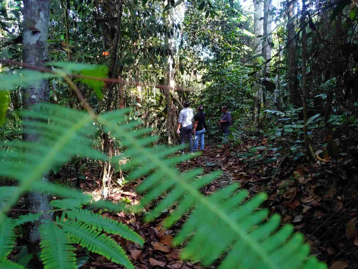 Inisiatif Green for Riau, Antara Ambisi Penurunan Emisi dan Tantangan Keadilan Iklim di Tingkat Tapak