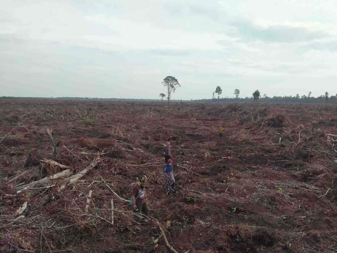Inisiatif Green for Riau, Antara Ambisi Penurunan Emisi dan Tantangan Keadilan Iklim di Tingkat Tapak