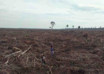 Inisiatif Green for Riau, Antara Ambisi Penurunan Emisi dan Tantangan Keadilan Iklim di Tingkat Tapak