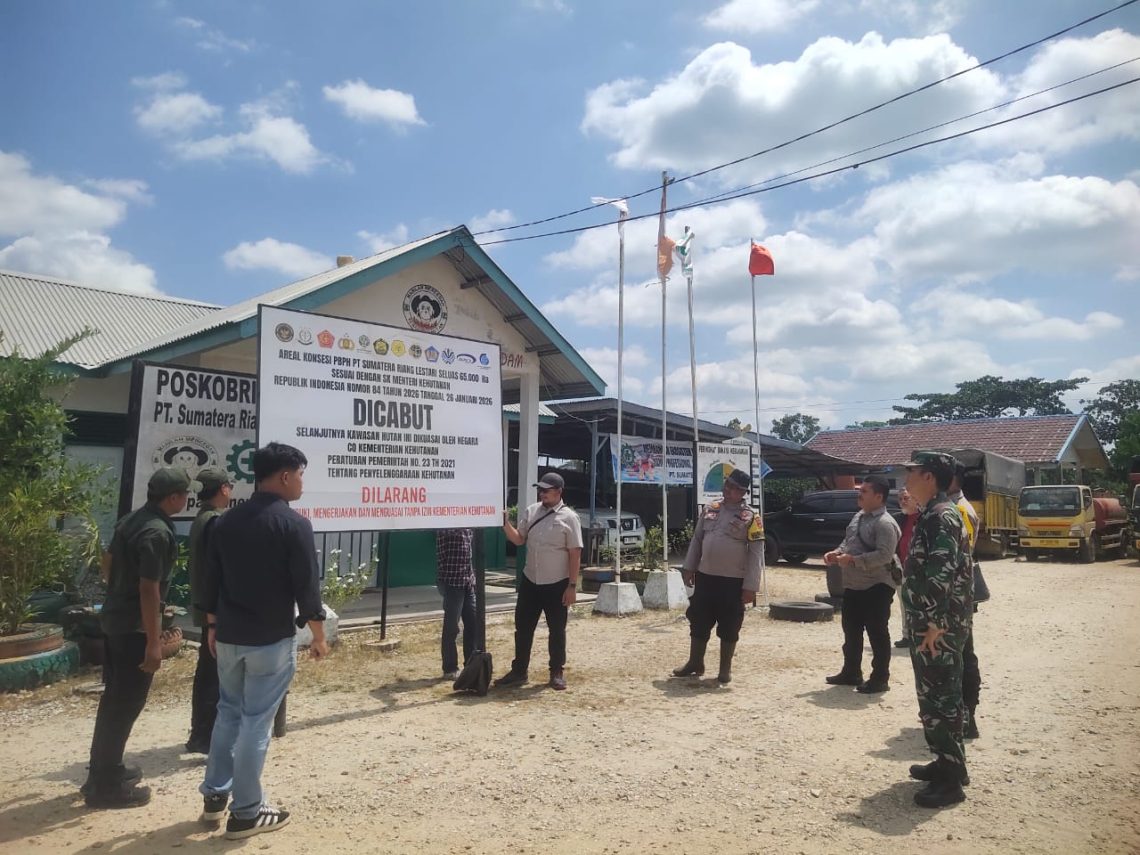 Pemasangan Plang Pencabutan Izin PT SRL di Rangsang dan Rupat, WALHI Riau Pertanyakan Luasan yang Tak Sesuai
