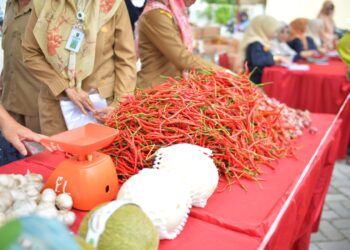 Jelang Ramadan, Pemprov Riau Gelar Operasi Pasar Murah di 12 Daerah