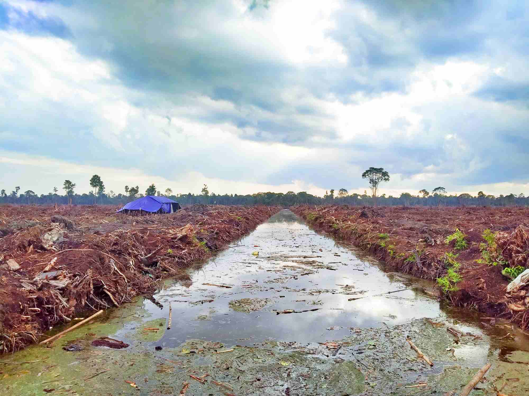 Inisiatif Green for Riau, Antara Ambisi Penurunan Emisi dan Tantangan Keadilan Iklim di Tingkat Tapak