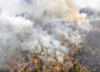 Riau Terima Tambahan 15 Ton Garam untuk Hujan Buatan