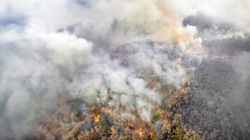 Riau Terima Tambahan 15 Ton Garam untuk Hujan Buatan
