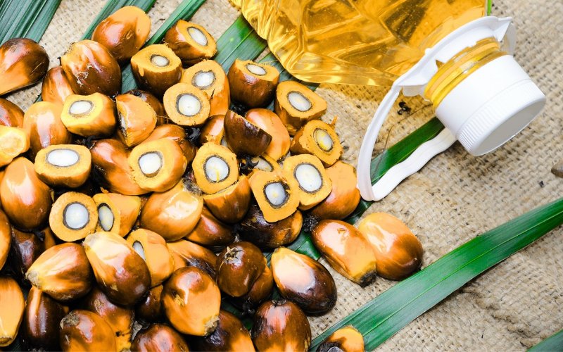 Sentimen Pasar Berubah, Kontrak CPO Ditutup Turun di Tengah Sikap Wait and See Investor