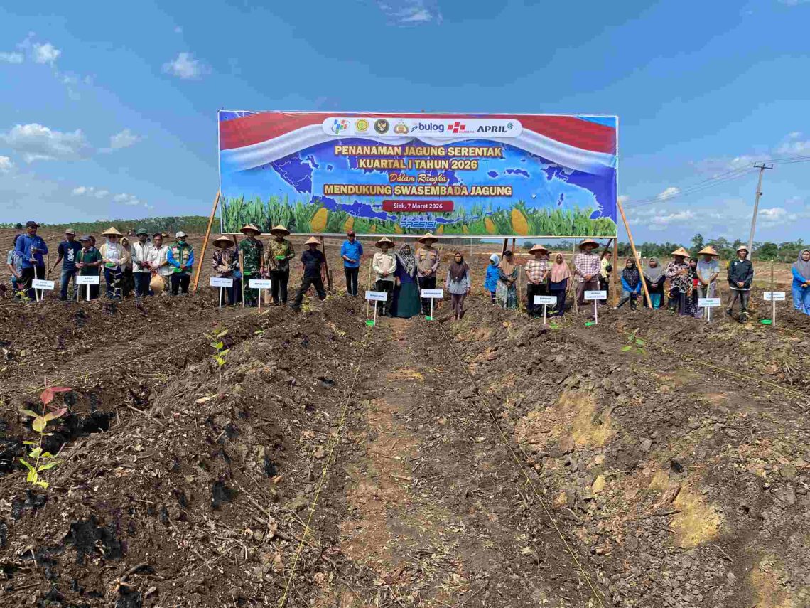Kegiatan Penanaman Jagung Pipil serentak kuartal I tahun 2026 dan oleh Polres Siak didukung PT RAPP di Kampung Lubuk Jering, Kecamatan Tualang, Kabupaten Siak, Sabtu (7/3/2026).