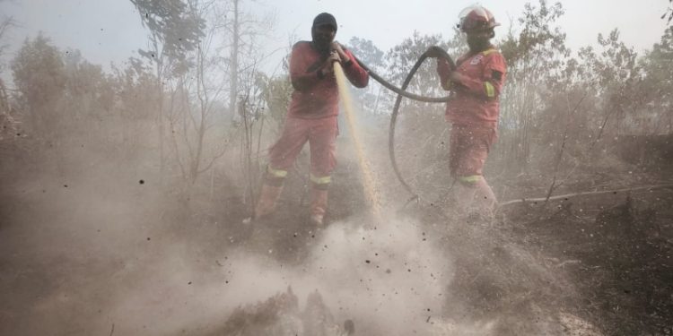 Karhutla Riau 2026, WALHI: Tanpa Kebijakan Tegas, Status Siaga Darurat Hanya Respon Administratif di Atas Kerkas
