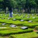 KAJIAN ISLAM: Makna Hidup dan Mati sebagai Ujian Allah bagi Manusia