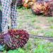 Harga CPO Terkerek Lonjakan Minyak Dunia