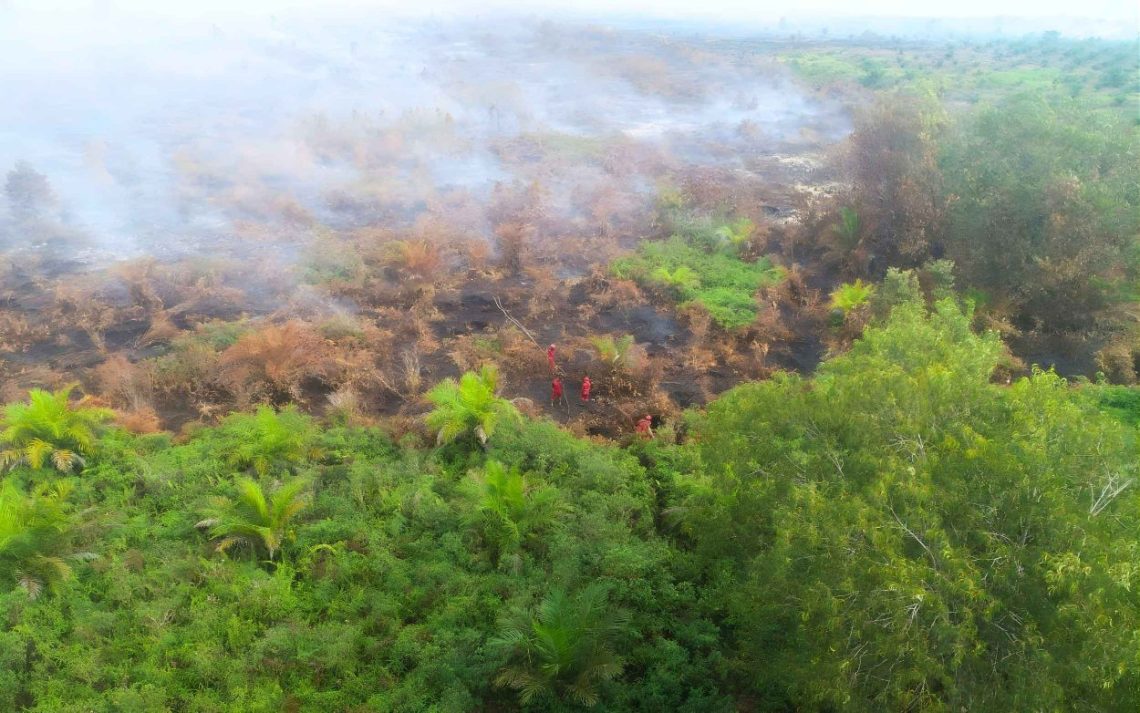 Pemadaman Karhutla Riau Fokus ke Bengkalis dan Pelalawan, Alat Berat Diturunkan