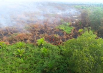 Pemadaman Karhutla Riau Fokus ke Bengkalis dan Pelalawan, Alat Berat Diturunkan