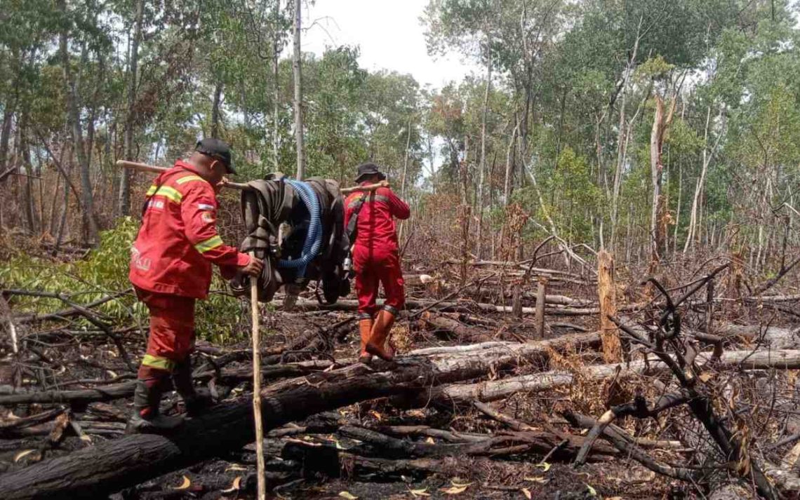 Optimalisasi Modifikasi Cuaca di Riau, BMKG: Semai Garam di Masa Transisi Lebih Efektif