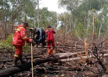 Optimalisasi Modifikasi Cuaca di Riau, BMKG: Semai Garam di Masa Transisi Lebih Efektif