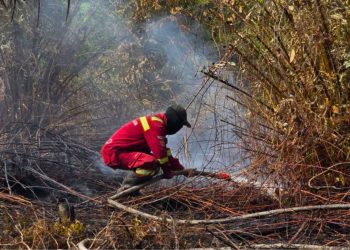 Karhutla Riau, Tim Gabungan Fokus Pukul “Kepala Api” di Hari Keenam. Kota Pekanbaru Akhirnya Tetapkan Status Siaga Darurat Bencana Karhutla 