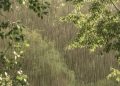 Prakiraan Cuaca Riau 25 April 2026, Update di Sini