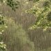 Prakiraan Cuaca Riau 25 April 2026, Update di Sini