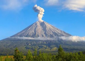 Semeru Memanas! 16 Kali Gempa Letusan Beruntun dan Guncang Puncak Mahameru dalam 6 Jam