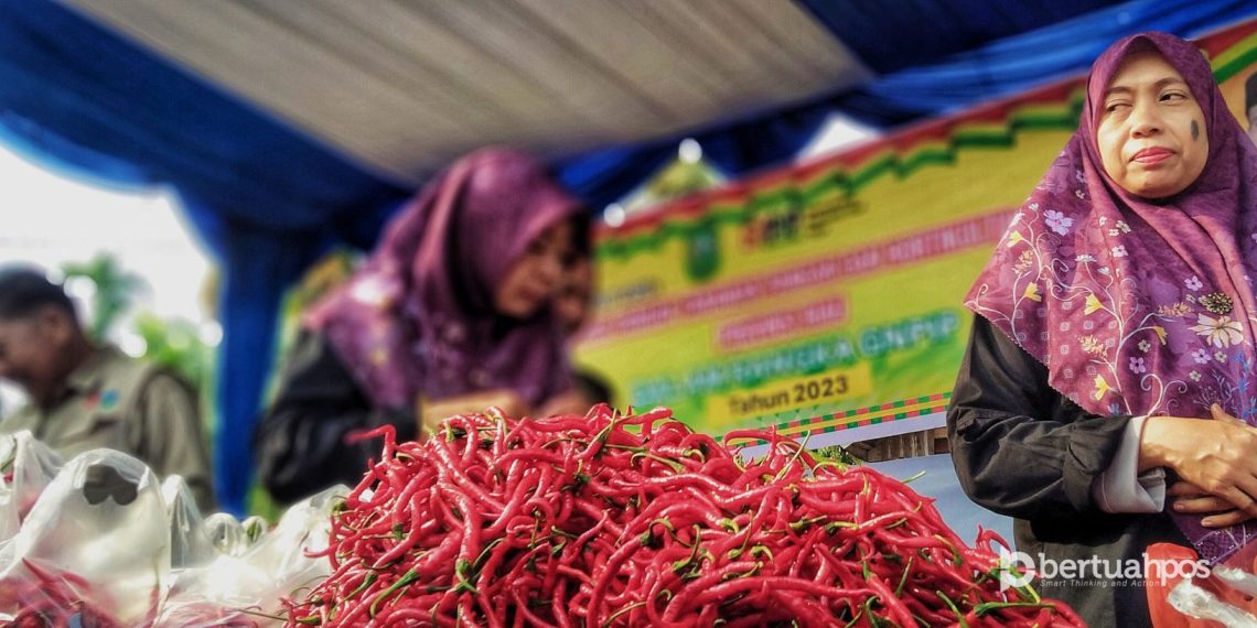 Pekan Ini, Ada 5 Titik Operasi Pasar di Pekanbaru dan Kampar