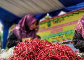 Pekan Ini, Ada 5 Titik Operasi Pasar di Pekanbaru dan Kampar