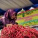Pekan Ini, Ada 5 Titik Operasi Pasar di Pekanbaru dan Kampar