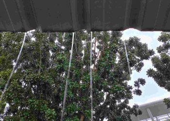 Cuaca Hari Ini di Riau 11 Mei 2026, Cek Selengkapnya di Sini