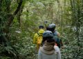 Hutan Primer Tropis Indonesia Menyusut 295.595 Hektare pada 2025