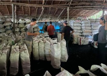 100 Ton Arang Mangrove Ilegal Digerebek, Tiga Tersangka Terancam 10 Tahun Penjara