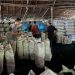 100 Ton Arang Mangrove Ilegal Digerebek, Tiga Tersangka Terancam 10 Tahun Penjara