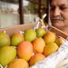 Panen Mangga Alphonso India Hancur Berantakan, Ini Penyebabnya