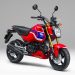Honda Grom 2026 Resmi Meluncur di Jepang, Tampil Lebih Sporty dengan Tiga Pilihan Warna