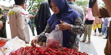 Harga Kebutuhan Pokok di Pasar Murah Pekan Pertama Mei 2026