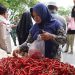 Harga Kebutuhan Pokok di Pasar Murah Pekan Pertama Mei 2026