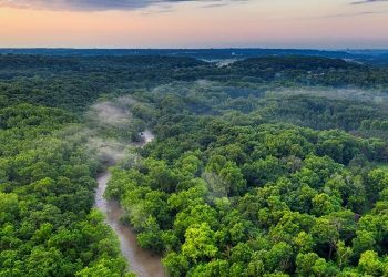 Pohon-pohon di China Ternyata Menyembunyikan Krisis Air yang Mengintai