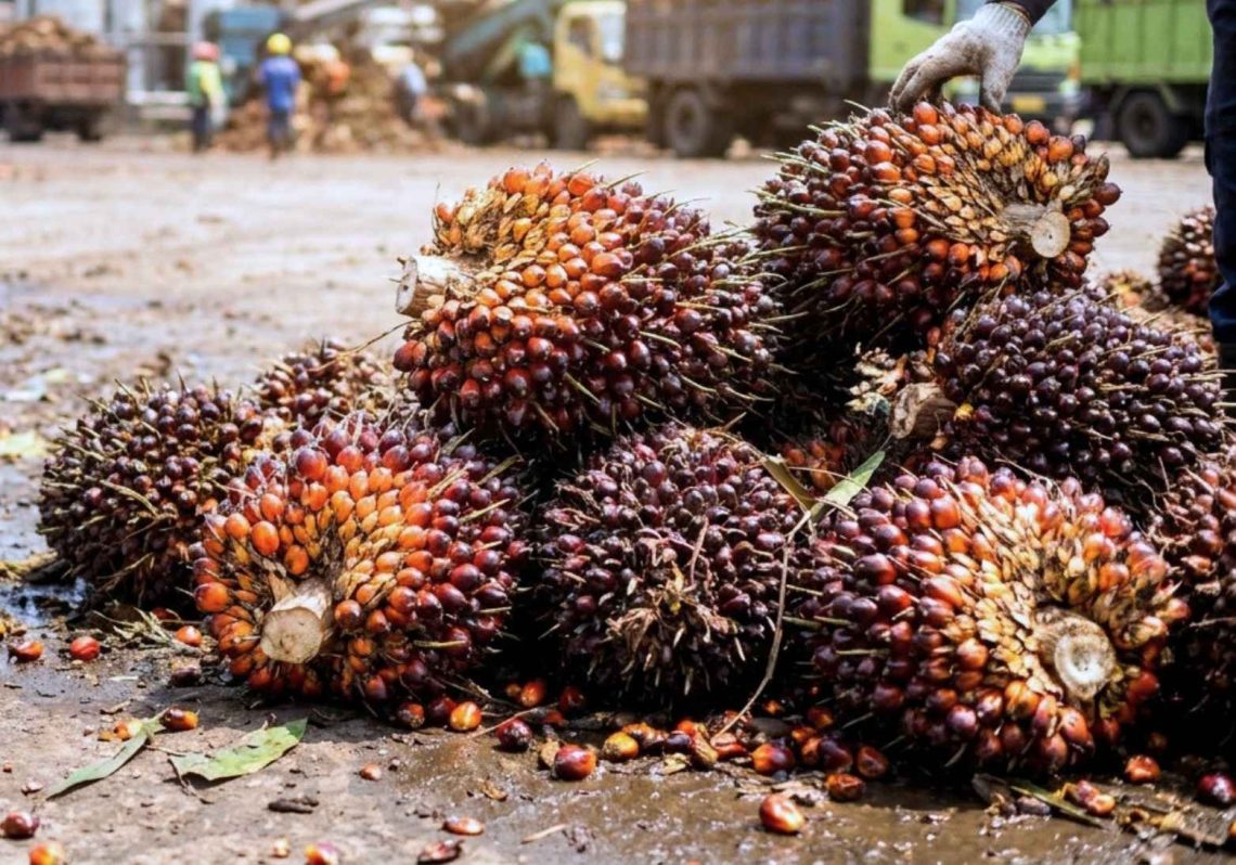 Rata-rata Harga Jual CPO Perusahaan Sawit di Riau Turun