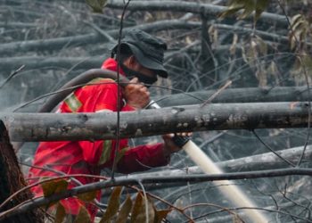 Upaya Pemadaman Karhutla Dibantu Gerimis, Api Berhasil Dijinakkan