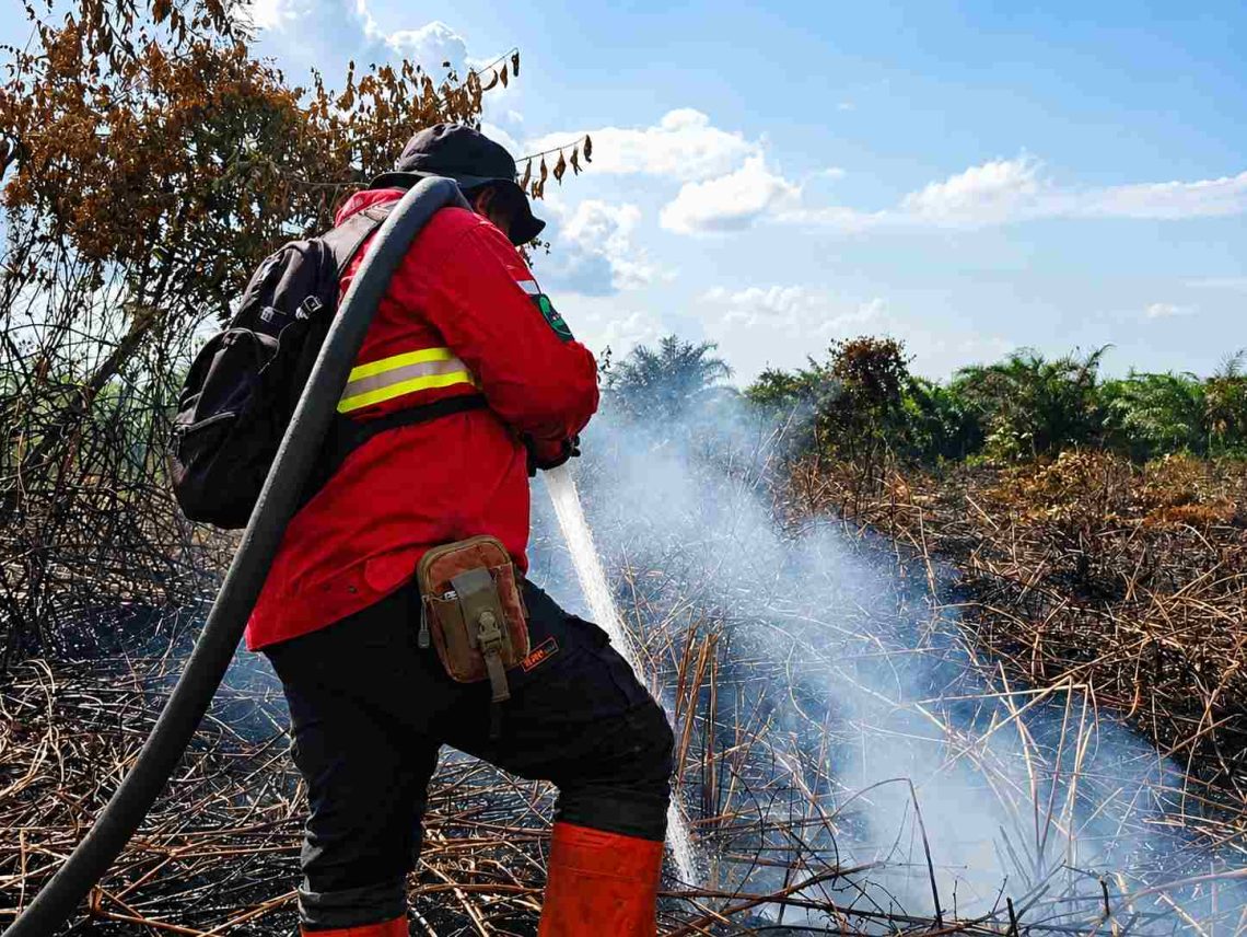 Perkuat Penanganan Karhutla, Plt Gubernur Riau Tegaskan Siaga Darurat Berlaku hingga November 2026
