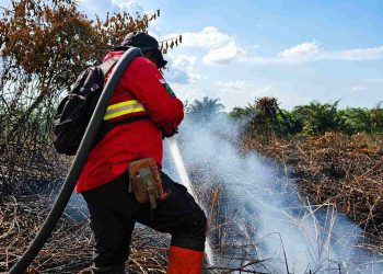 Perkuat Penanganan Karhutla, Plt Gubernur Riau Tegaskan Siaga Darurat Berlaku hingga November 2026