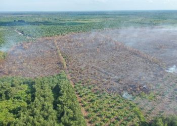 Karhutla Riau Meluas, Manggala Agni Gerakkan Belasan Tim dari Dua Provinsi