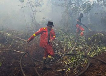Karhutla Belum Padam, Plt Gubernur Riau “Terimakasih Atas Kerja Keras Satgas”