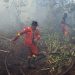 Karhutla Belum Padam, Plt Gubernur Riau “Terimakasih Atas Kerja Keras Satgas”