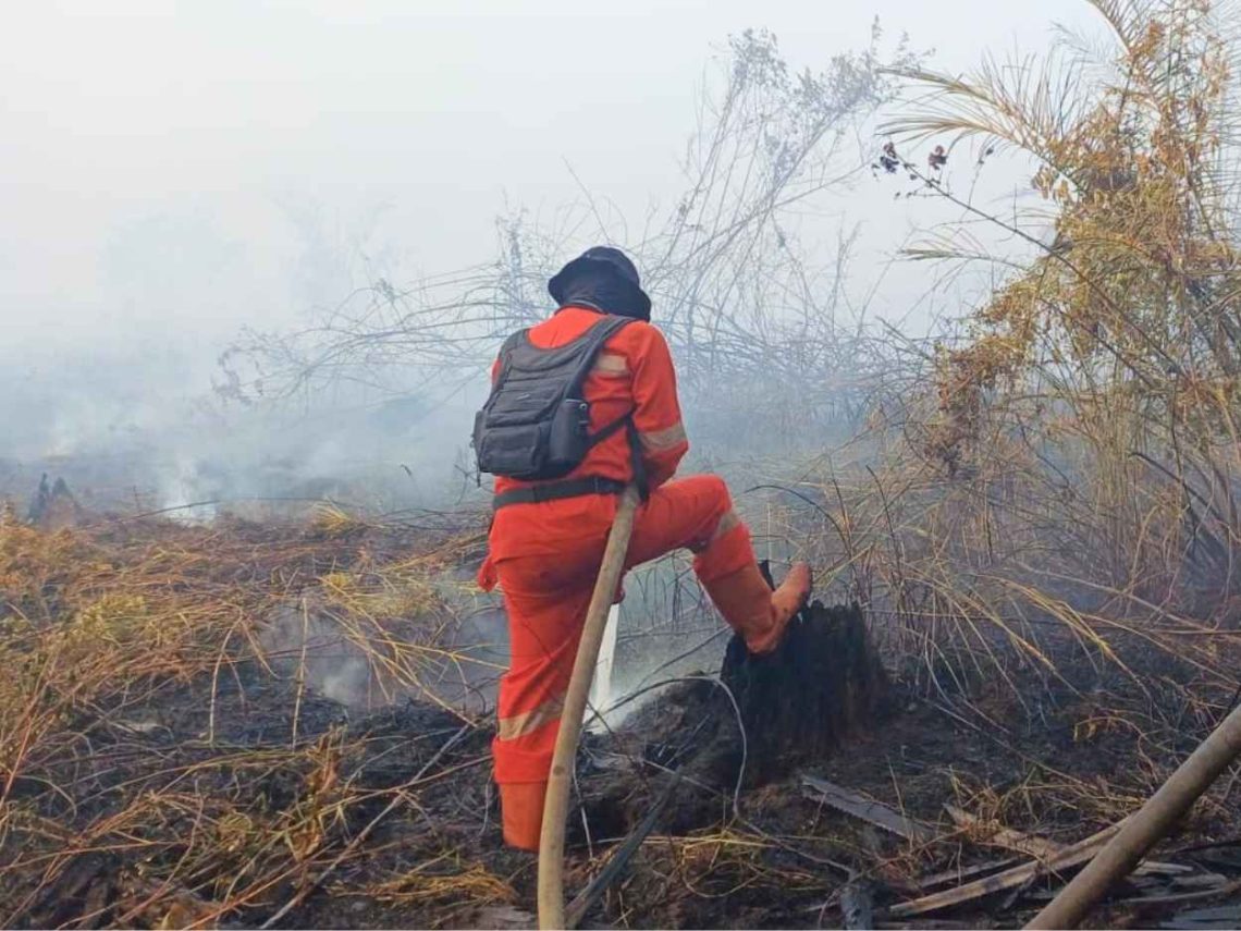 Karhutla di Inhu, 2 Heli Water Boombing Diturunkan