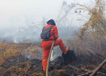Karhutla di Inhu, 2 Heli Water Boombing Diturunkan