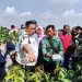 Limbah Batu Bara Disulap Jadi Pupuk dan Paving Block