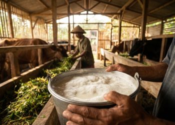 Produksi Susu Nasional Baru 1 Juta Ton, RI Masih Buruh 3 Juta Ton Lagi