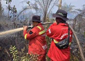 WMO Ingatkan “Bersiaplah Hadapi El Nino", Probabilitas 90% hingga November 2026