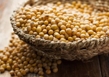Pemerintah Luncurkan Subsidi Harga Kedelai Rp2.000/kg untuk Tekan Biaya Impor Akibat Dolar Naik
