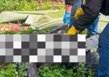 Polisi Dalami Motif Kematian Petani yang Ditemukan Membusuk di Kebun Sawit Pelalawan