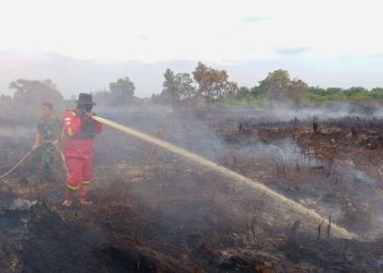 Meski Titik Api Sudah Dikendalikan, Asap Dari Sisa Karhutla di Rohil Masih Mengepul
