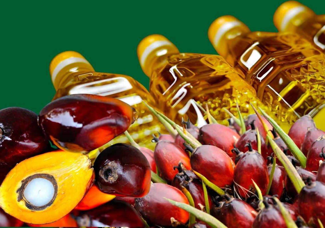 Prediksi Harga CPO Minggu Ini Bergerak Bearish Imbas Pelemahan Minyak Kedelai