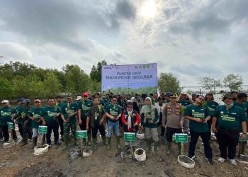 Penanaman mangrove di Desa Bagan Melibur, Kecamatan Merbau, Kabupaten Kepulauan Meranti dalam rangka peringatan Hari Manggrove Sedunia.